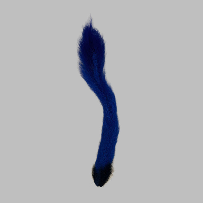 Blue calftail/kiptail tail with dark base and pointed end