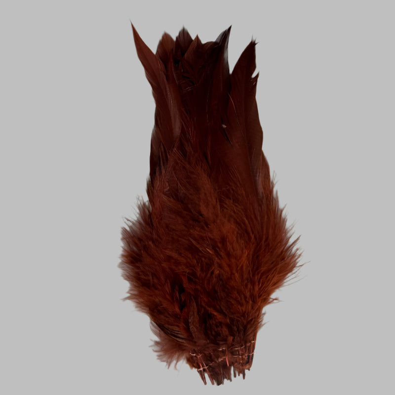 Brown strung schlappen feathers with pointed tips