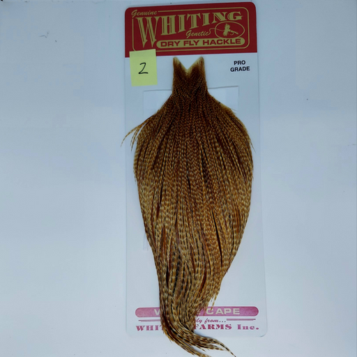 Barred  dark ginger dry fly hackle on a Whiting branded card with a white background