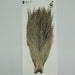 Sideling Hill Hackle barred cream cape grade 3 #1