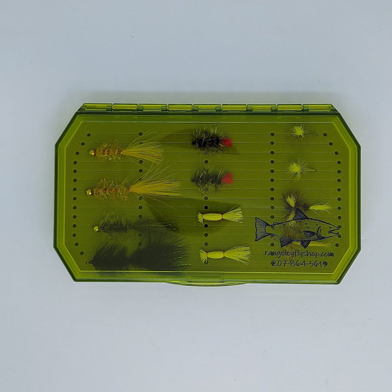 Green fishing fly collection case with foam insert, assorted flies visible through open top