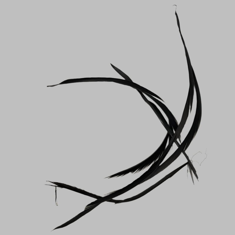 Biot feathers in black