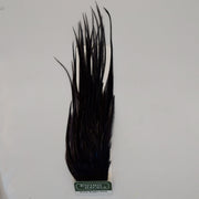Black wooly bugger fly pack with long feather tuft