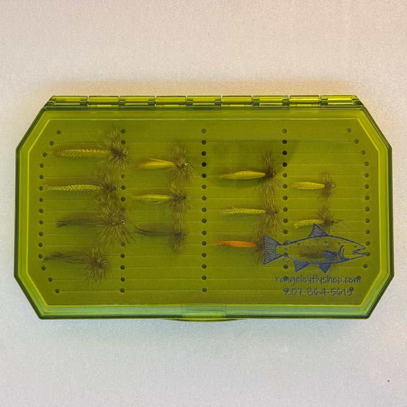 Green hinged fly box with feathered fishing flies arranged in foam compartments