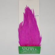 Bright pink feather hackle on card, tapered plume with fine fibers
