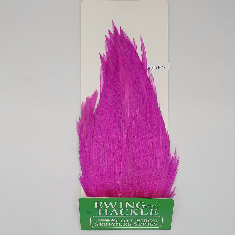 Bright pink feather hackle on card, tapered plume with fine fibers