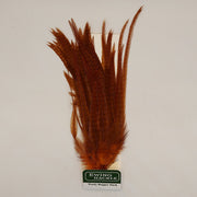 Brown wooly bugger fly pack with tied feather bundle