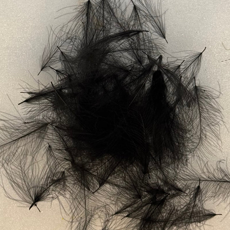 Black C.D.C. feather fibers, loose pile for fly tying