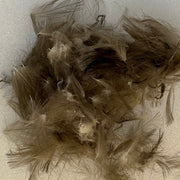 Brown C.D.C. feather fibers, loose pile for fly tying