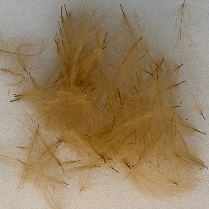 Close up of tan colored cul de canard feathers