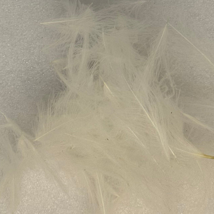 Close up of white colored cul de canard feathers