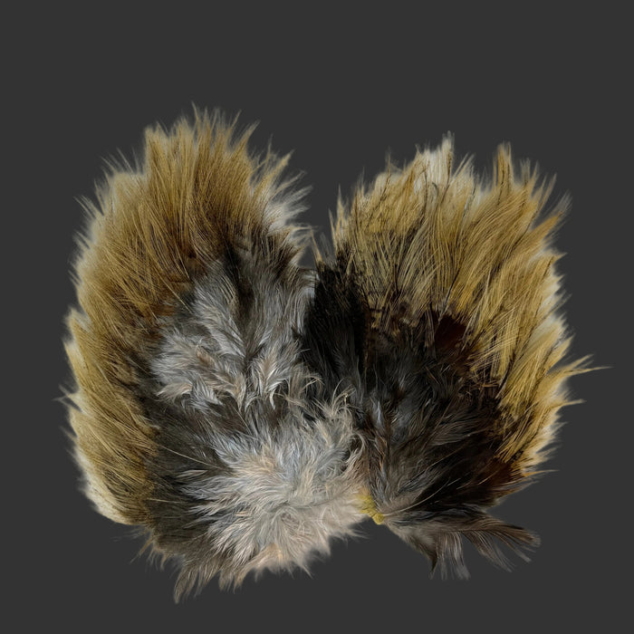Two patches of multi colored feathers