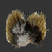 Two patches of multi colored feathers