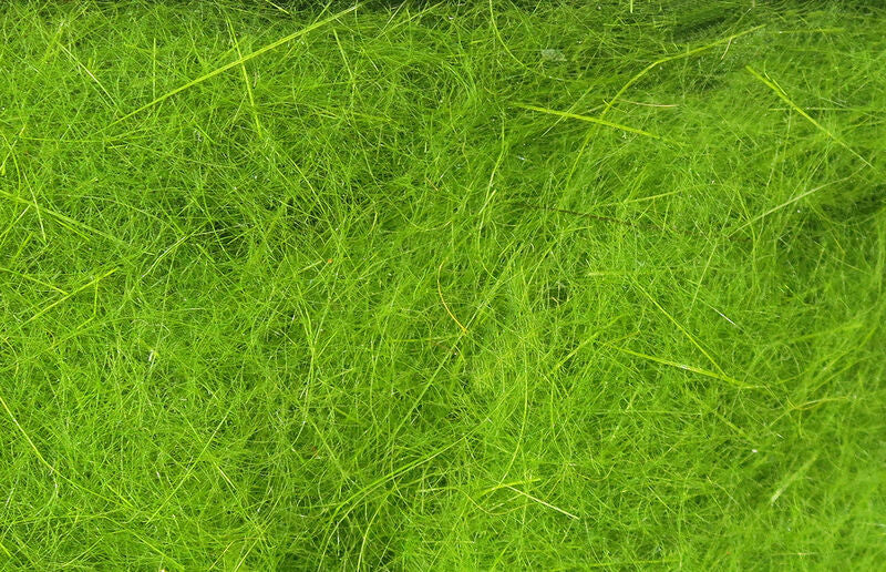 Fly tying dubbing fibers in bright green