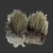 Two multi colored feathers with cream and  black and white