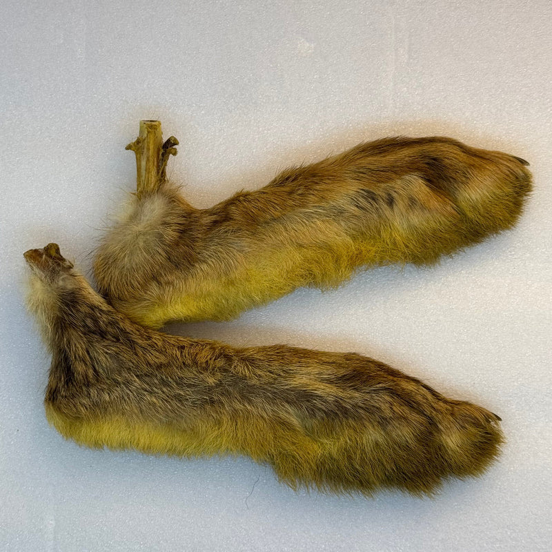 Hare-fur feet pair with long bodies; golden tan with darker mottled fur
