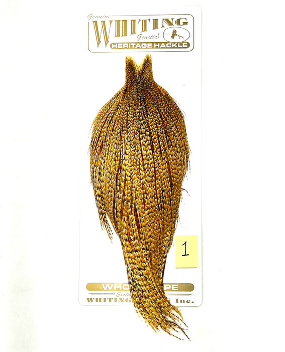 Gold and dark speckled hackle cape bundle with pointed head and hanging fibers.