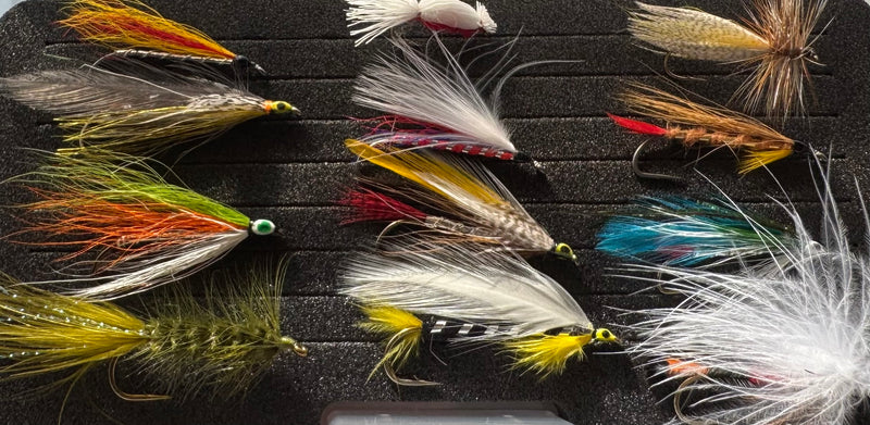 Close-up of feather fly lures on dark foam insert inside plastic tray