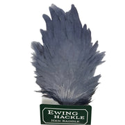 Ewing hen saddle blue-gray feathers cluster