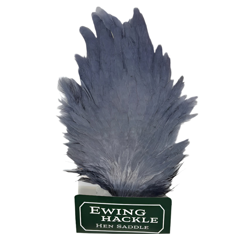 Ewing hen saddle blue-gray feathers cluster