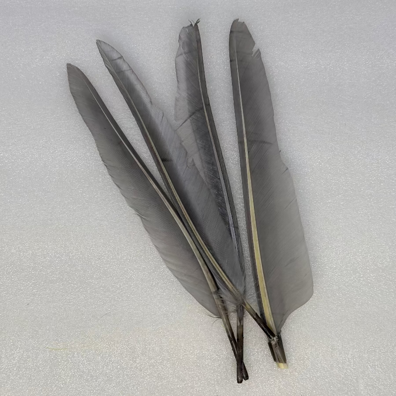 Duck quills bundle in dark gray and light gray feather quills