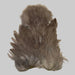Large patch of medium dun soft hackle feathers