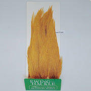 Orange ginger feather hackle on card, tapered plume with fine fibers