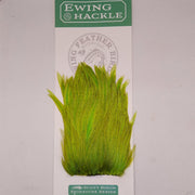 Bright green feather hackle tuft with dense, upright barbs