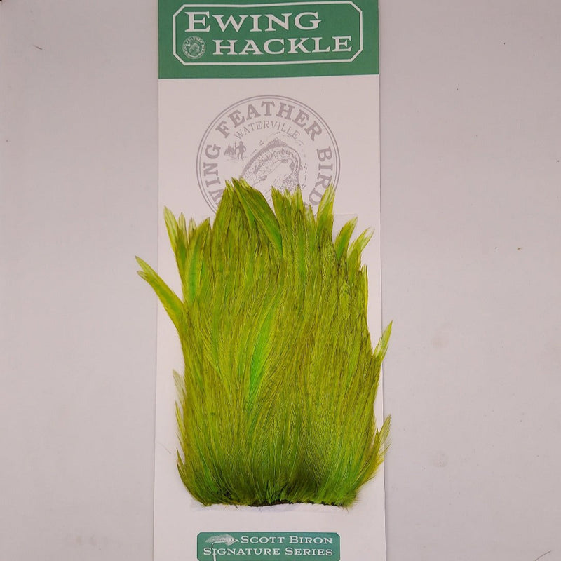 Bright green feather hackle tuft with dense, upright barbs