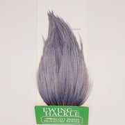 Light gray and blue dun feather hackle on card, tapered plume