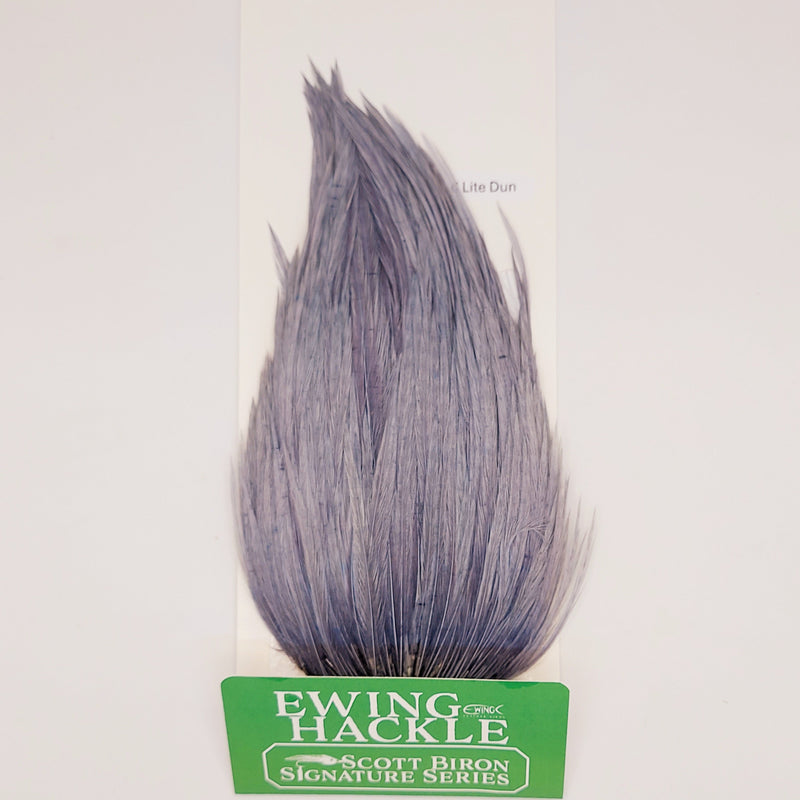 Light gray and blue dun feather hackle on card, tapered plume