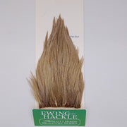 Tan dun feather hackle on card, tapered plume with fine fibers