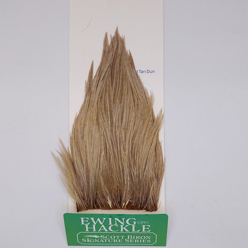 Tan dun feather hackle on card, tapered plume with fine fibers