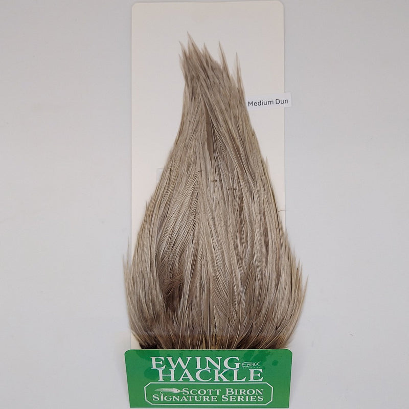 Medium dun feather hackle on card, tapered plume with fine fibers