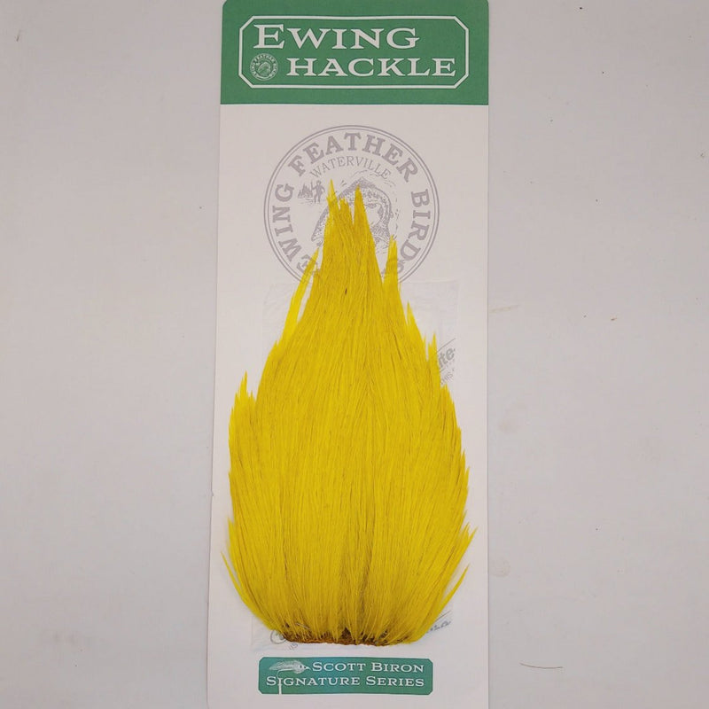 Yellow feather hackle on card, tapered plume with fine fibers