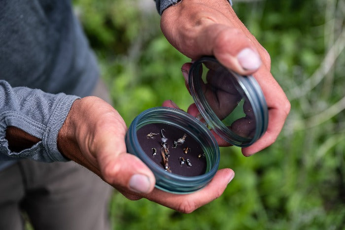 Hands holding a shallow fly puck with teal rim, open container showing fly fishing lures