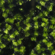Stonefly chenille in bright green fibers, close-up