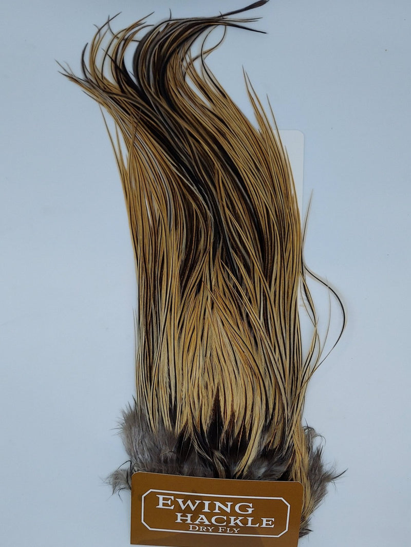 Dry fly saddle hackle feathers with golden tan fibers and dark base, Ewing Hackle tag