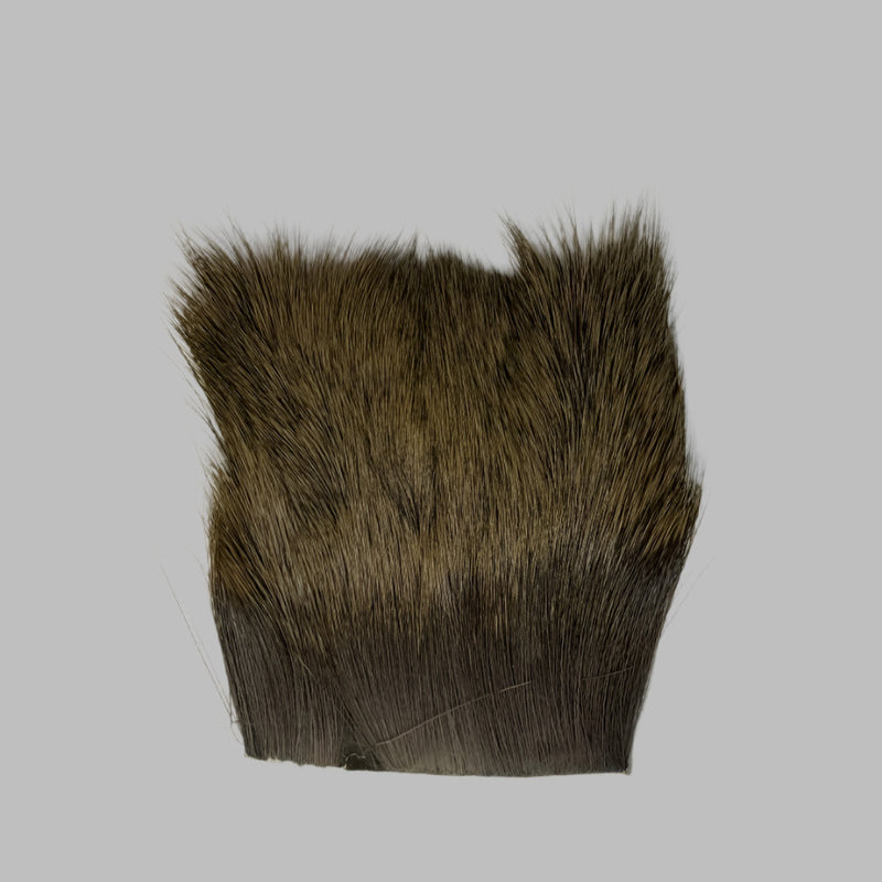Dark brown deer hair patch with short dense fibers and trimmed base