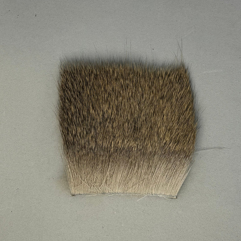 Deer short fine hair swatch in gray dun brown with short fine fibers