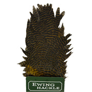 Ewing hen saddle olive-brown textured feathers cluster