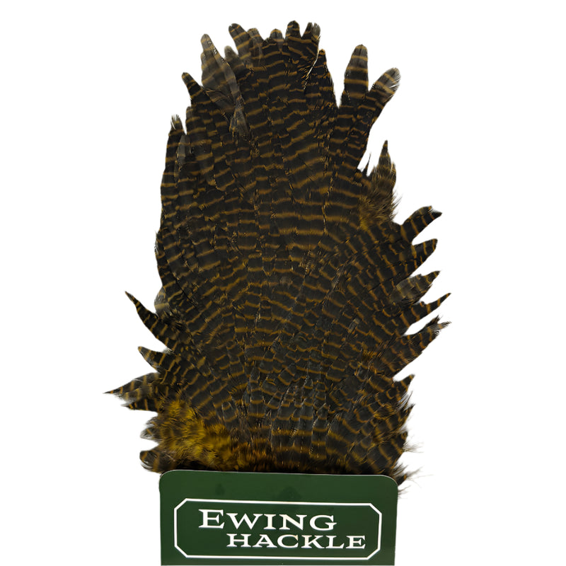 Ewing hen saddle olive-brown textured feathers cluster