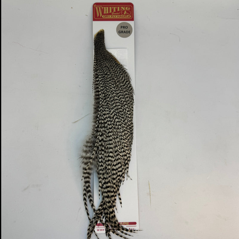 Pro grade half cape hackle, black-and-white speckled feather fibers on card