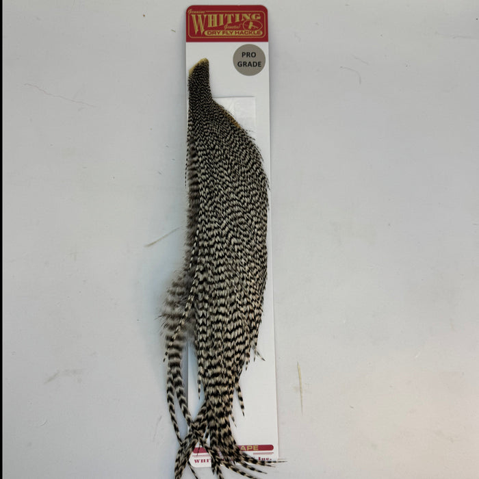 black and white patterned feathers on packaging