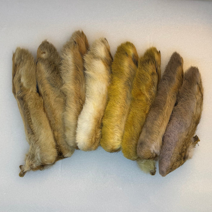 4 pairs of hare's feet in different shades