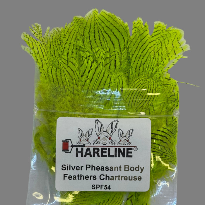 Chartreuse feathers coming out of plastic product bag