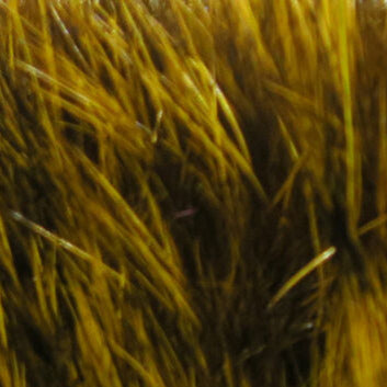 Dyed hare mask fur close-up in golden yellow strands