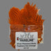 Hot Orange feathers coming out of plastic product bag