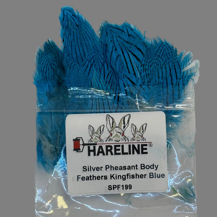Kingfisher Blue feathers coming out of plastic product bag