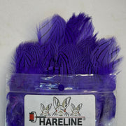 Hareline Silver Pheasant body feathers, purple dyed tuft in clear bag